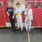 X Świętokrzyska Olimpiada Taekwondo oraz Turnieju Młodych Mistrzów RATO CUP 367 002